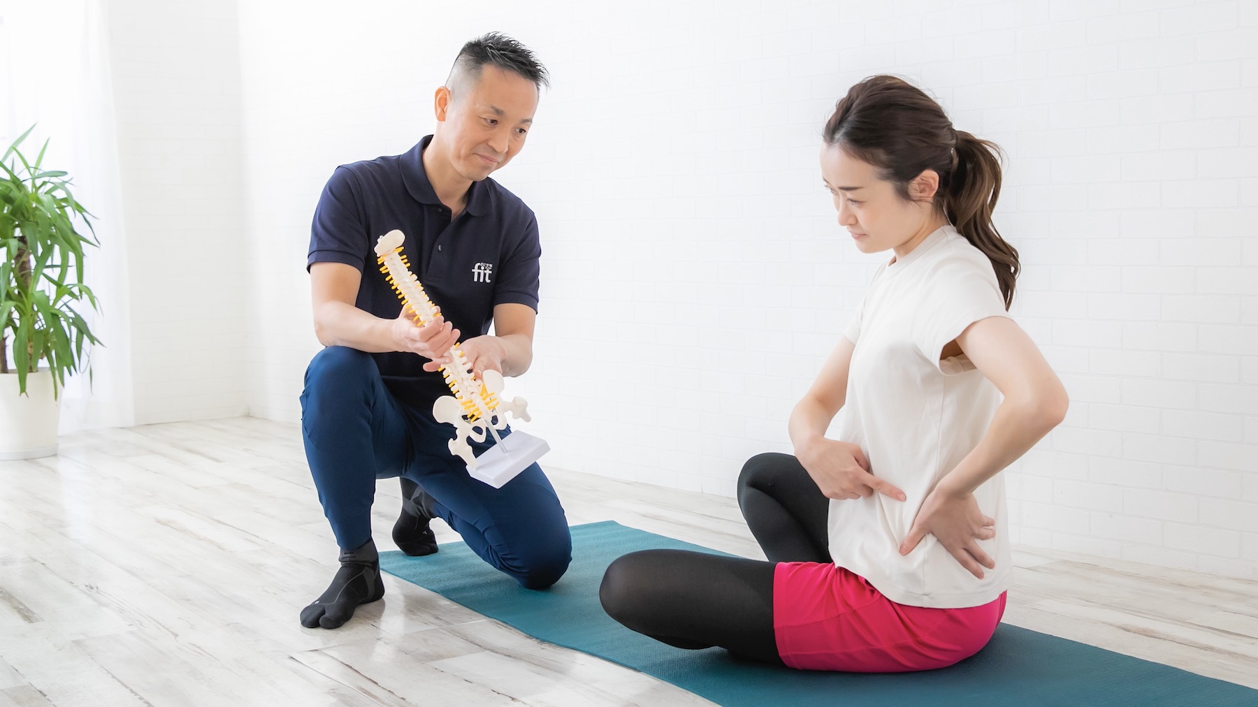パーソナルトレーニング　腹筋、背筋の解剖学の指導　